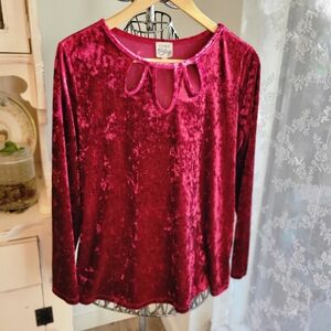 Whimsygoth Velour Crusher Velvet Long Sleeve Blouse in Deep Red Crimson